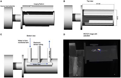 PET/CT Technology in Adult Zebrafish: A Pilot Study Toward Live Longitudinal Imaging